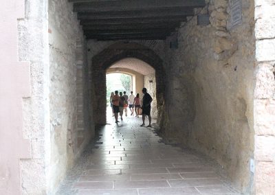 Obtencio-del-Passatje-de-Santa-Teresa
