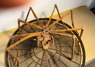 Memòria de Louise Bourgeois